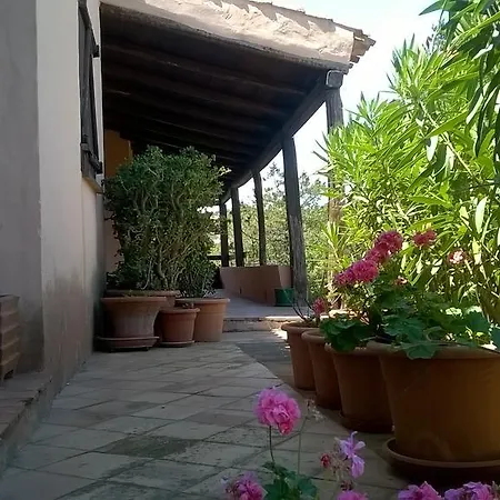 Ginepro