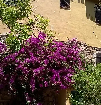 Σπίτι διακοπών Ginepro Monte Petrosu