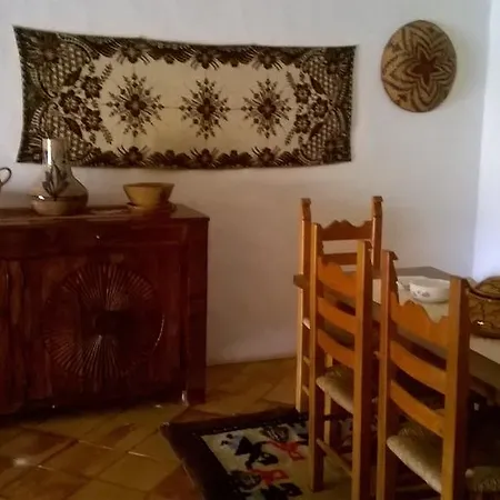 Ginepro Monte Petrosu