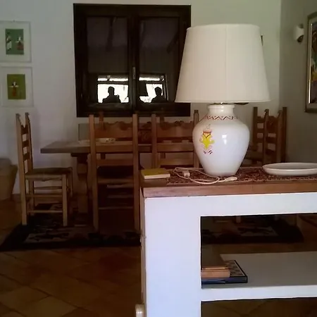 Ginepro Monte Petrosu