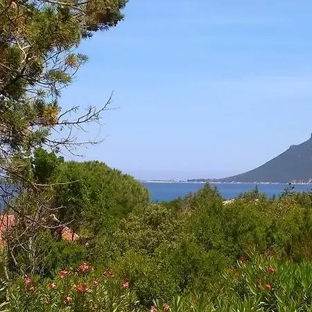 Ginepro * Monte Petrosu