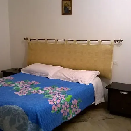 Ginepro Monte Petrosu
